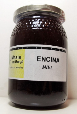 MIEL DE ENCINA 500gr